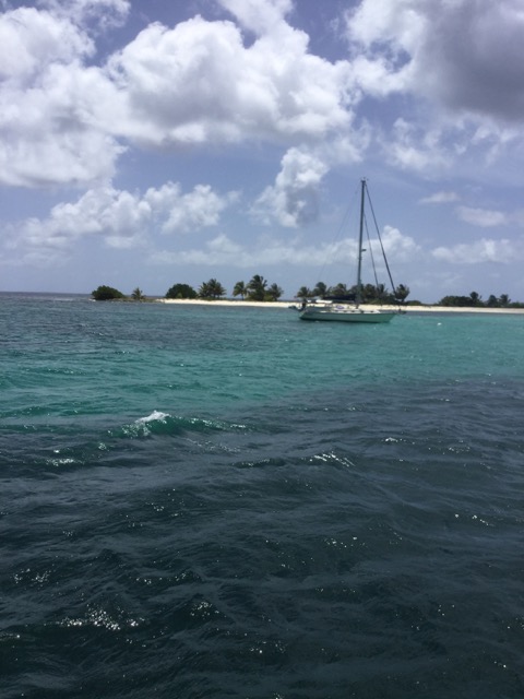 IMG_0014